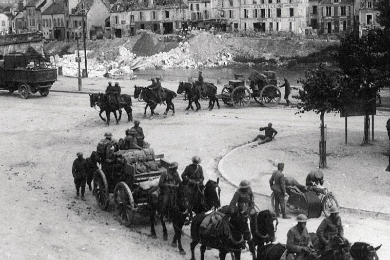 Des chevaux de guerre pendant la Premi�re Guerre Mondiale