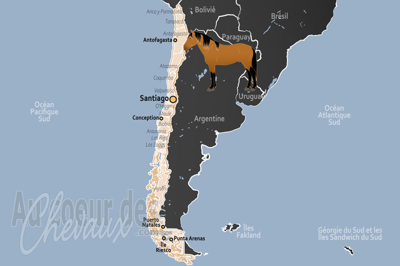Le Chili, l'�me du huaso et l'h�ritage des andes