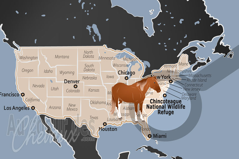 Le Chincoteague National Wildlife Refuge, le royaume de sel o� galopent les crins sauvages
