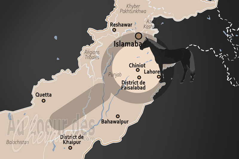 Chiniot, noblesse �questre et force de travail des bords du chenab