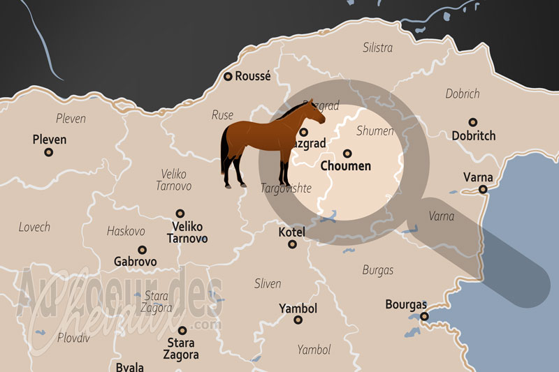Choumen, berceau historique de l'�levage et de la s�lection �quine