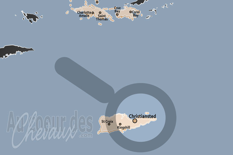 Christiansted, une culture �questre tropicale entre passion du turf et tourisme littoral