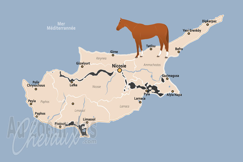 Chypre, entre tradition rurale et prestige hippique