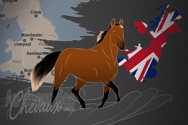 La Soci�t� du Cheval Cleveland Bay, une organisation qui g�re le cheval cleveland bay au royaume uni