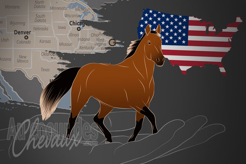 La Cleveland Bay Horse Society of North America un organisme de race aux �tats Unis