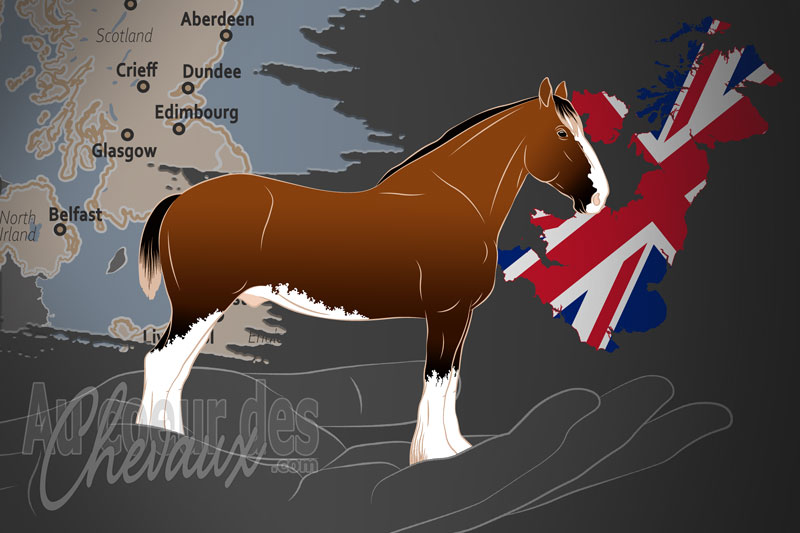 La Soci�t� du Cheval Clydesdale, une organisation qui g�re le cheval clydesdale au royaume uni