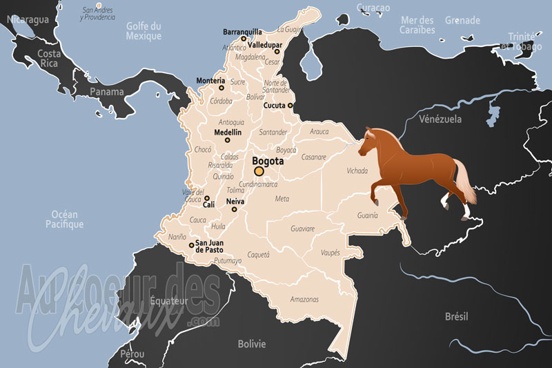 La Colombie, l'excellence du paso fino et l'h�ritage des andes