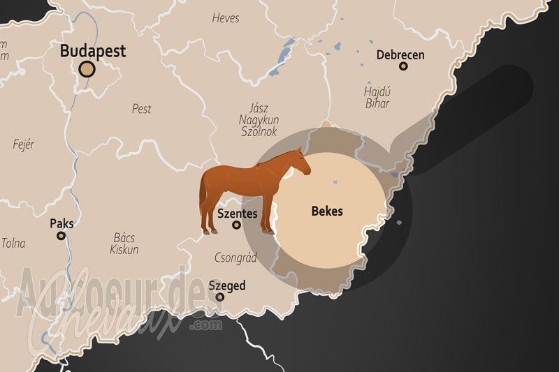 La localisation du Comitat de B�k�s en Hongrie