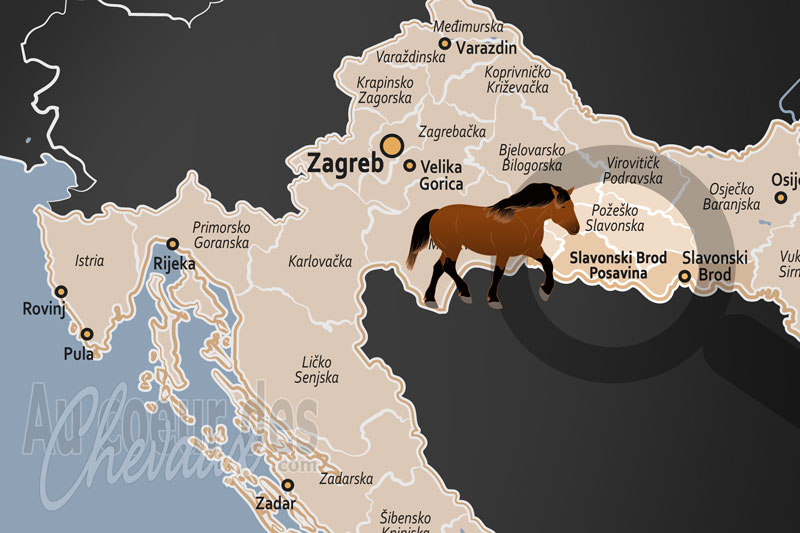 La localisation du Comitat de Brod Posavina en Croatie