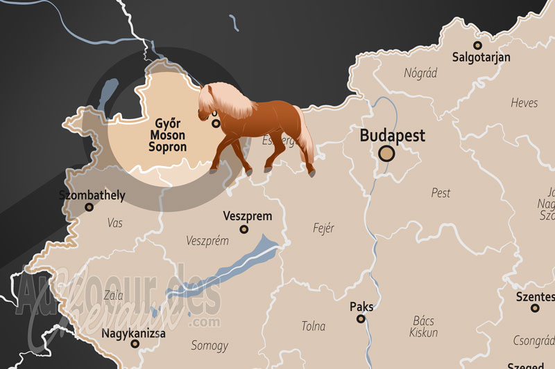 La localisation du Comitat de Gyor Moson Sopron en Hongrie