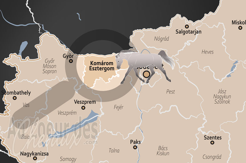 La localisation dans le pays du Comitat de Kom�rom Esztergom en Hongrie