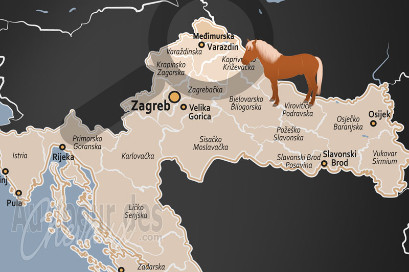 Le Comitat de Medimurje, le sanctuaire du cheval de trait et de la r�silience nordique
