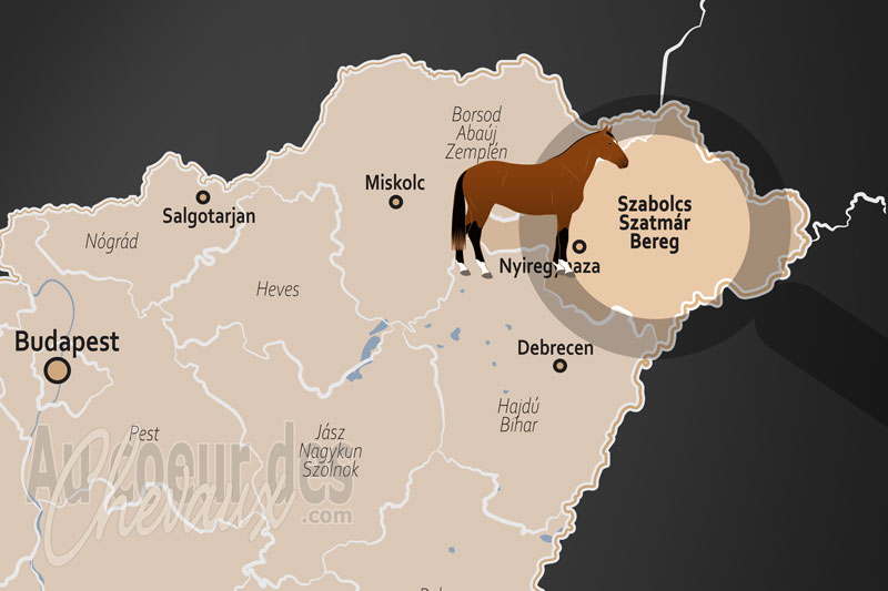 La localisation du Comitat de Szabolcs Szatm�r Bereg en Hongrie