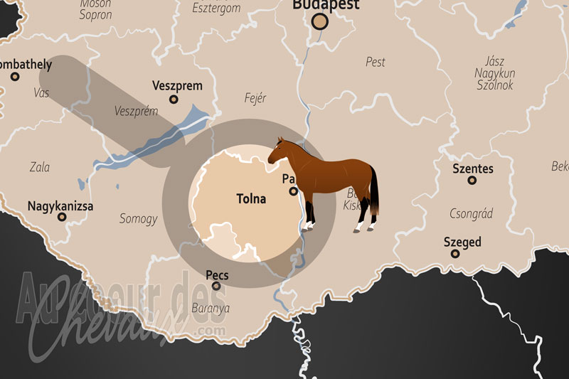 La localisation du Comitat de Tolna en Hongrie
