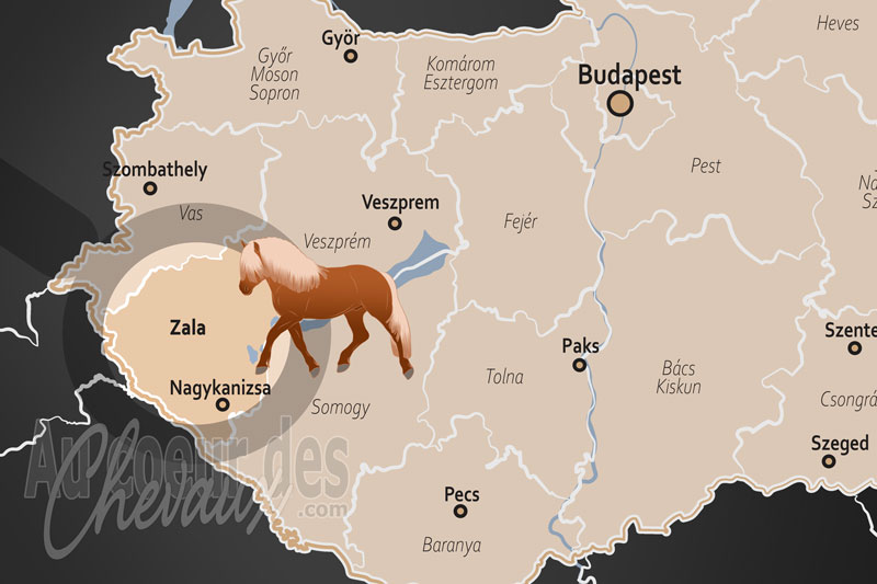 La localisation du Comitat de Zala en Hongrie