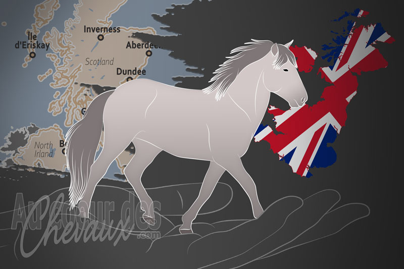 La Soci�t� du Poney Eriskay, un organisme de gestion de l'eriskay au royaume uni