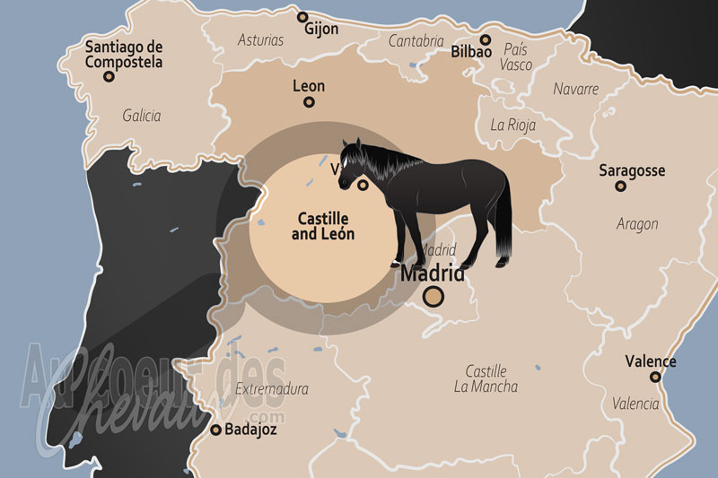 La localisation de la Communaut� Autonome de Castille et Le�n en Espagne