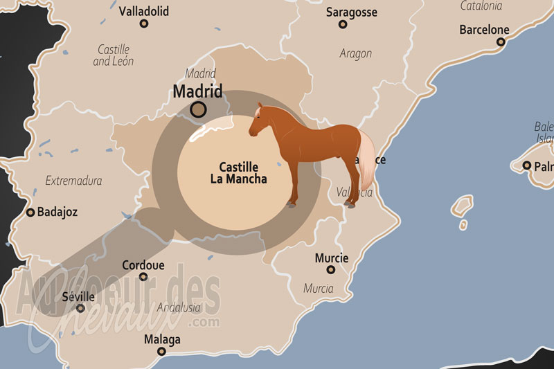 La localisation de la Communaut� Autonome de Castille la Manche en Espagne