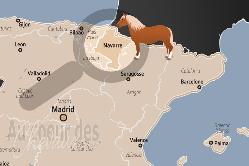 La localisation de la Communaut� Autonome de Navarre en Espagne