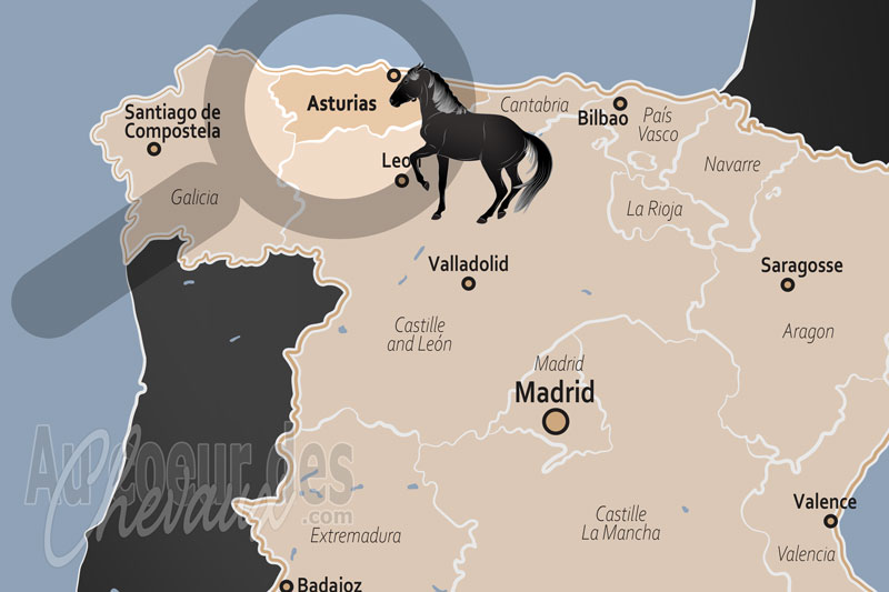 La localisation de la Communaut� Autonome de Principaut� des Asturies en Espagne