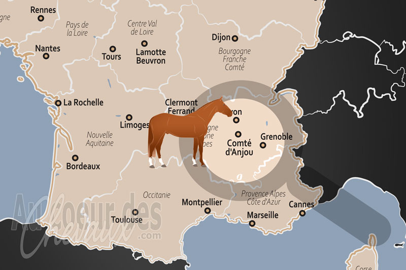 La localisation du Comt� d'Anjou en France