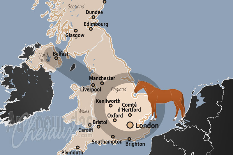 Le Comt� de Hertford, p�le d'excellence v�t�rinaire et poumon �questre de la m�tropole londonienne