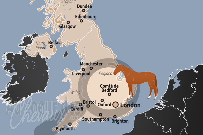 Le Comt� de Bedford, terre de tradition agricole et hub �questre de l'est de l'angleterre