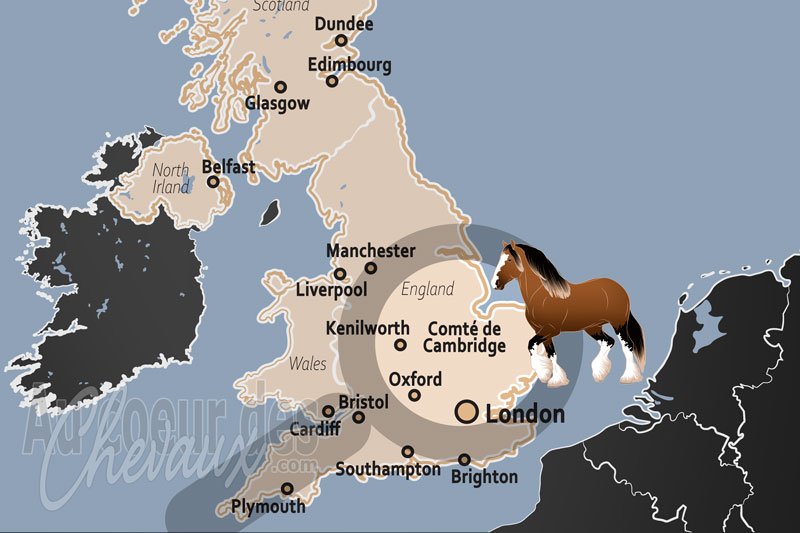 Le Comt� de Cambridge, capitale mondiale du pur-sang et terre des g�ants de trait