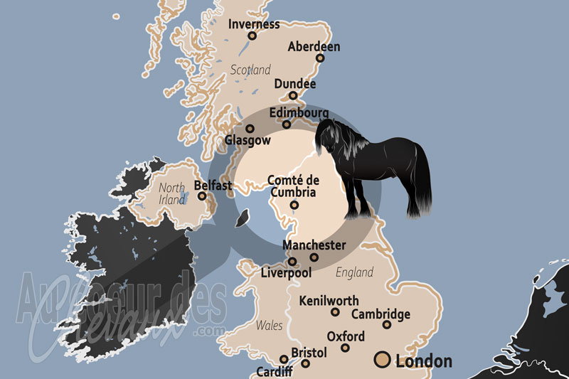 Le Comt� de Cumbria, berceau du fell pony et sanctuaire des traditions �questres de montagne