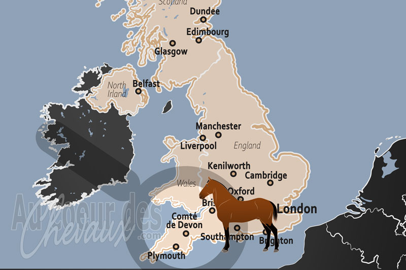 Le Comt� de Devon, terre de landes sauvages, berceau des poneys indig�nes et de l'�quitation de nature