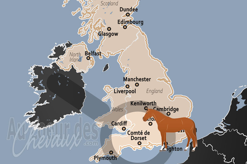 Le Comt� de Dorset, entre collines de craie, excellence du concours complet et patrimoine de la c�te jurassique