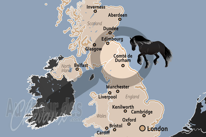 Le Comt� de Durham, berceau du poney dales et terre d'h�ritage industriel �quin