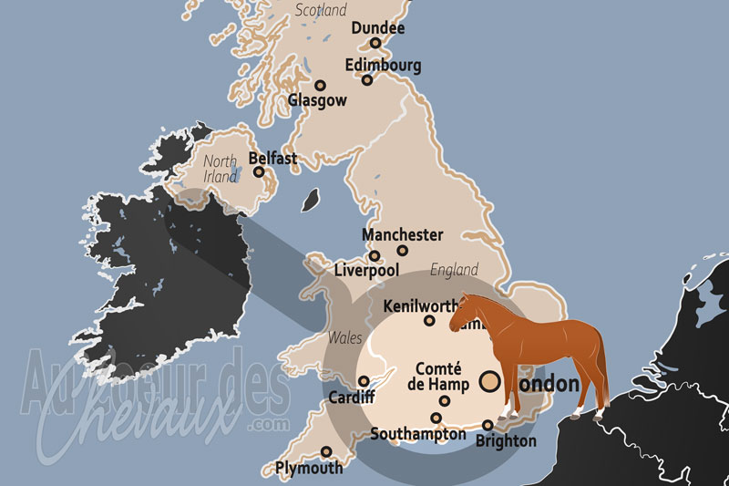 Le Comt� de Hamp, le royaume du new forest pony et le c?ur des traditions royales