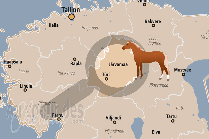 Le Comt� de J�rva, le c?ur rural et le carrefour de l'�levage �quin baltique