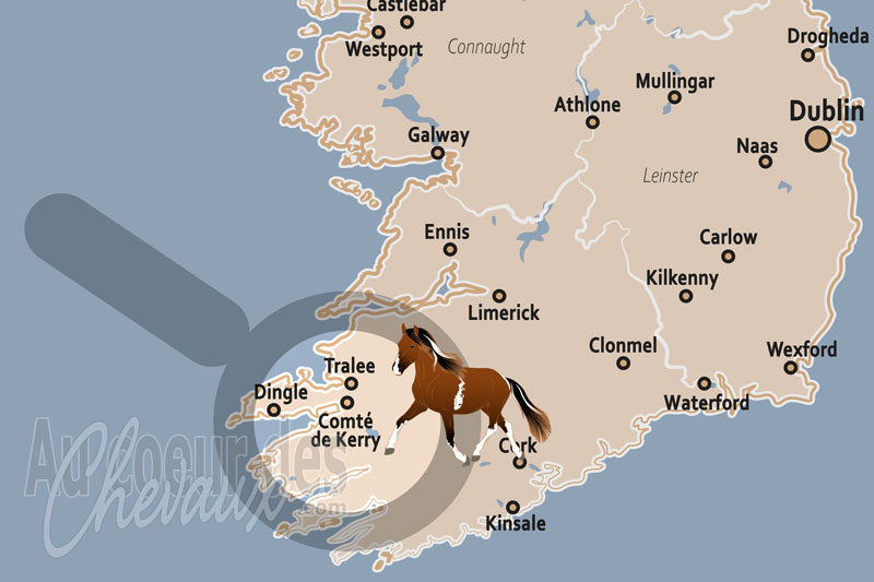 Le Comt� de Kerry, terre du poney des tourbi�res et des traditions hippiques de l'atlantique