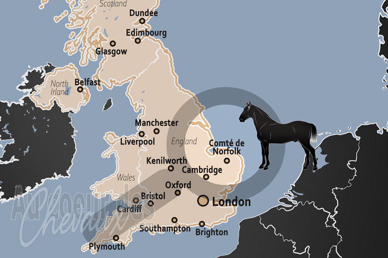 Le Comt� de Norfolk, terre d'h�ritage royal, d'innovation dans le trot et de protection �quine