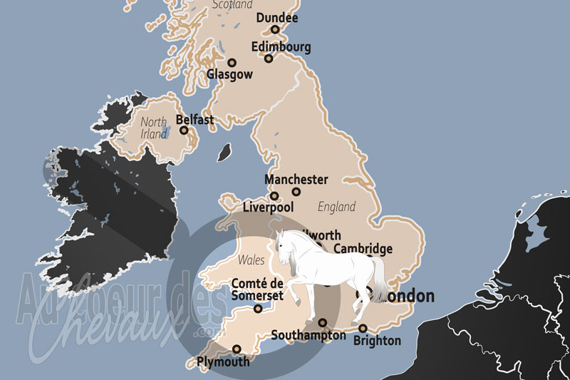 Le Comt� de Somerset, entre terres sauvages d'exmoor et prestige des courses d'obstacles