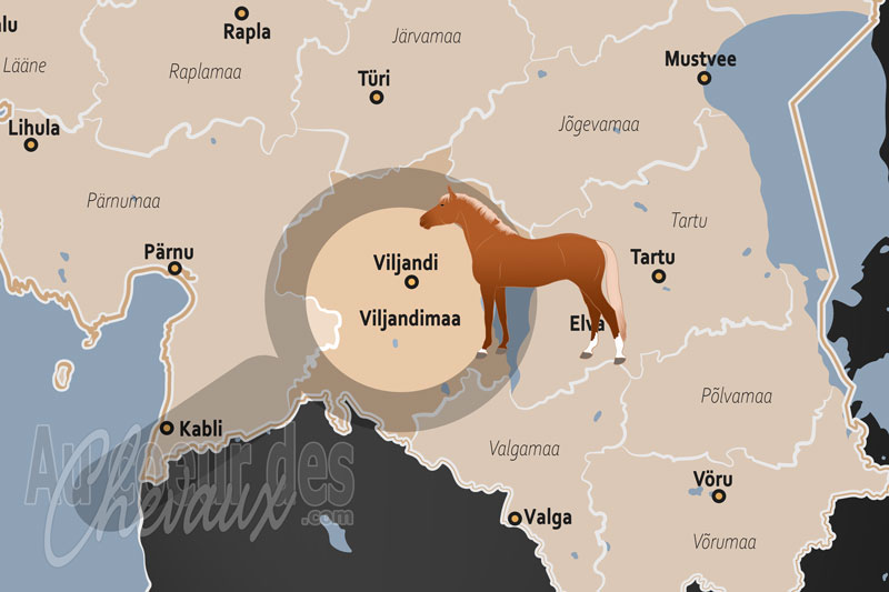 Le Comt� de Viljandi, entre tradition des mulgi et excellence sportive contemporaine