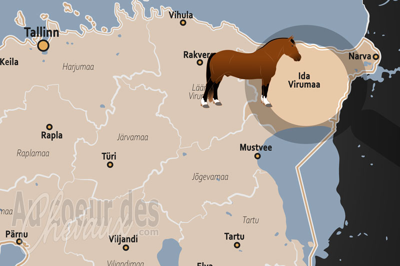 Le Comt� de Viru Oriental, de l'h�ritage industriel au renouveau de la force �quine