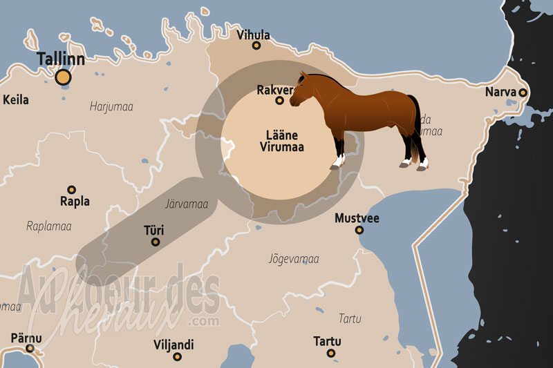 Le Comt� de Viru Ouest, patrimoine des manoirs et �quitation littorale de la baltique