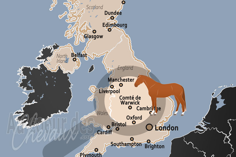 Le Comt� de Warwick, centre d'excellence p�dagogique et c?ur des traditions �questres des midlands