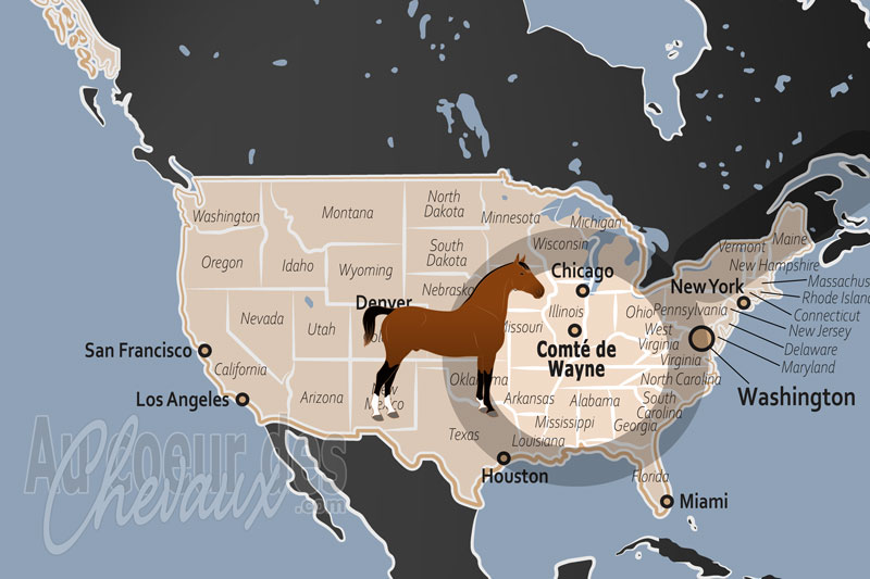 La localisation du Comt� de Wayne aux �tats Unis