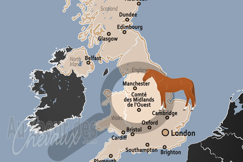 Le Comt� des Midlands de l'Ouest, l'�quitation au c?ur de la m�tropole et l'h�ritage industriel