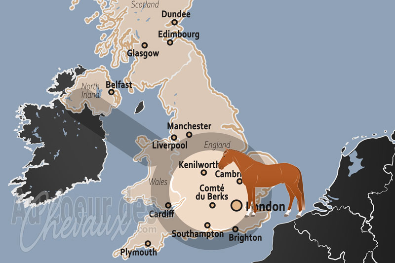 Le Comt� du Berks, l'�picentre royal et sportif de l'industrie �quine britannique