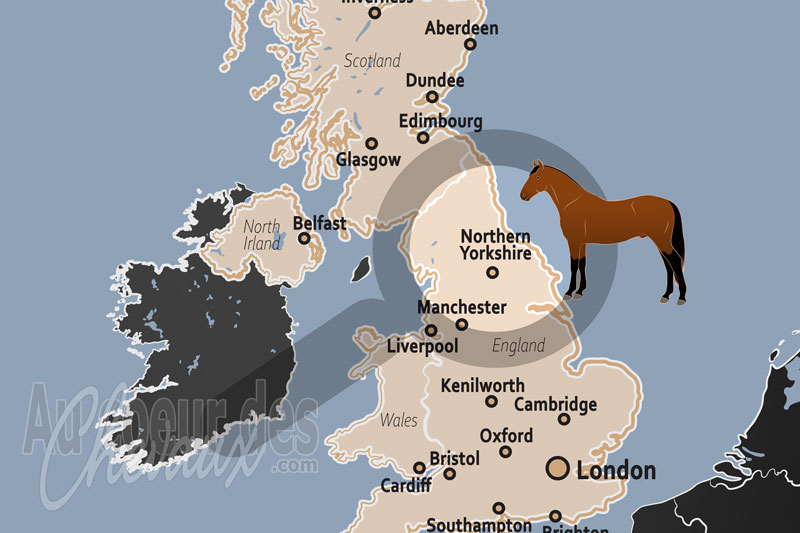 Le Comt� du York du Nord, le c?ur historique et �conomique de l'�quitation britannique