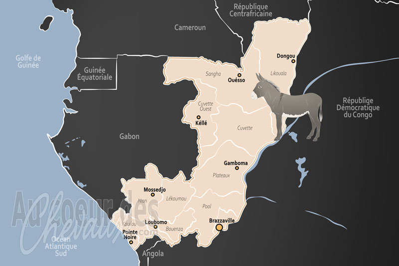 Le Congo, une pr�sence marginale en terre de for�t tropicale