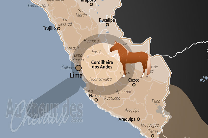 La Cordill�re des Andes, le galop des centaures de l'oxyg�ne rare