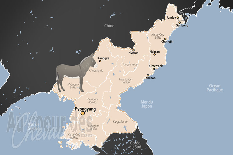 La Cor�e du Nord, symbole de pouvoir et mythe r�volutionnaire