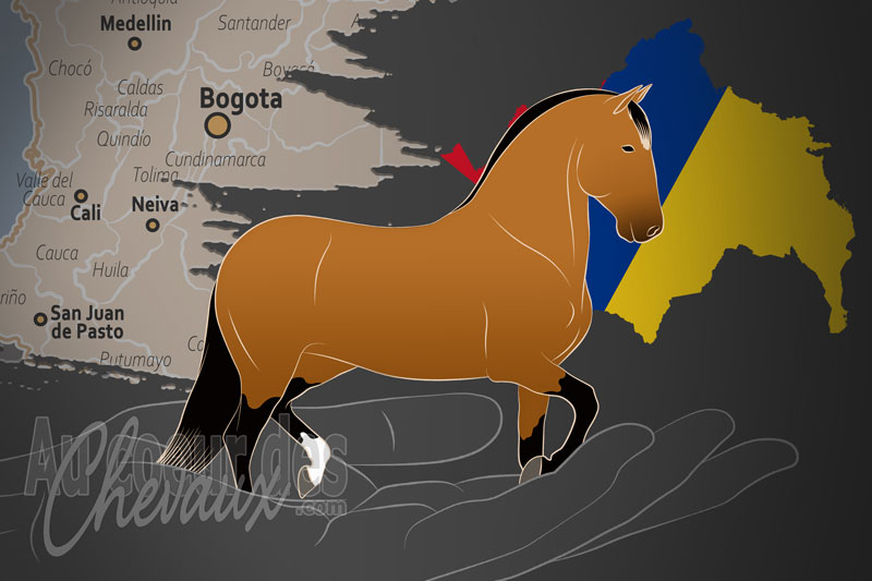 La Corporaci�n Colombiana de Investigaci�n Agropecuaria un organisme de race en Colombie