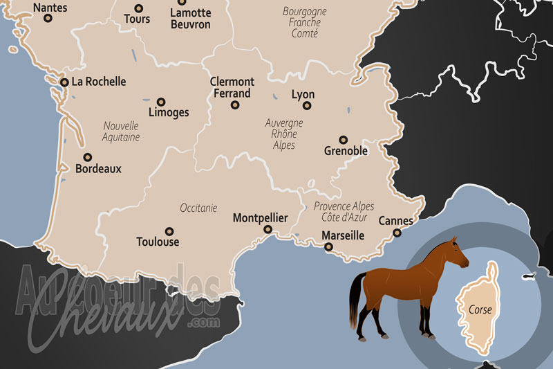 La R�gion Corse, l'�le de beaut� au rythme du cavallu corsu